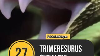 Fakta hewan yang berbisa