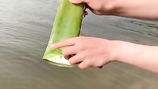 29 AMAZING BEAUTY HACKS WITH ALOE VERA