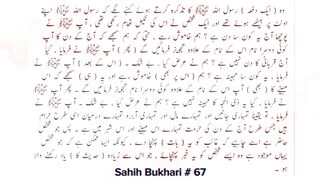 Sahih Bukhari # 67