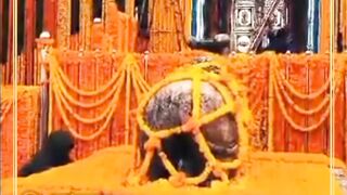 Kedarnath temple opening video