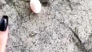She saw an abandoned egg and than brought it home#