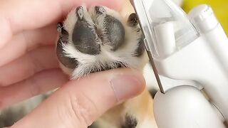 Manyu immersion spa asmr [Weekly care]