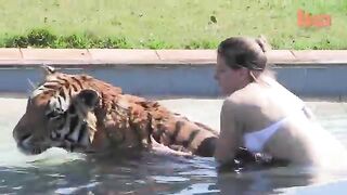 Living With Tigers Family Share Home With Pet Tigers