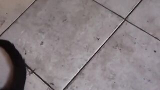 INDUK KUCING MENGALAH TIDUR DIBAWAH SOFA