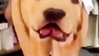 Regardez ce video et écrit