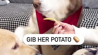 Dank memes compilation|| Vines best fun|| Funny memes|| Funny || shorts||Try not to laugh impossible