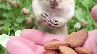 Funny Video||Memes|| Comedy video|| Dank memes compilation|| Vines best fun|| Funny memes||