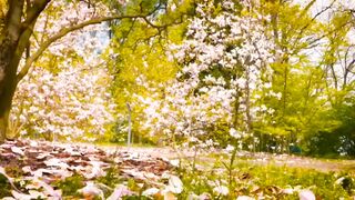 Travel at nature flower