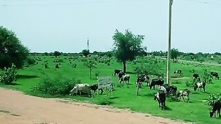 الطبيعة