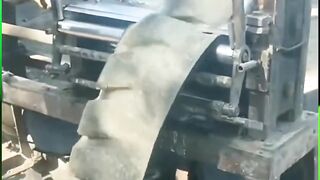 Tree Transplanting Process 2