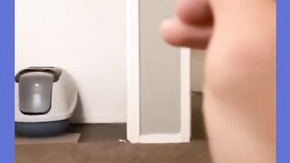 Try not to laugh???? Funny animals????‖ #shorts ‖ Fun Store