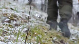 How to survive in jungle