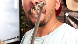 venomoussnake