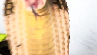 venomoussnake