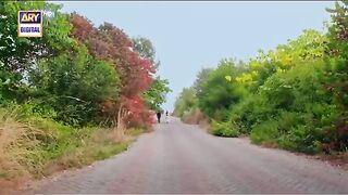Amanat_OST___Nabeel_Shaukat___Aima_Baig___ARY_Digital_Drama(360p).