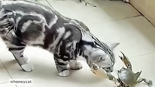 Watch this one