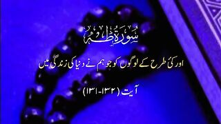 Surat Taha status short video