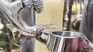 Bamboo Juice