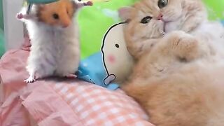 Cute ????