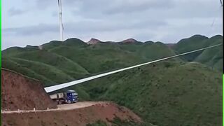 Tree Trimming Machines