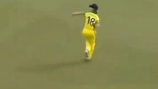 Funny moment in cricket field.