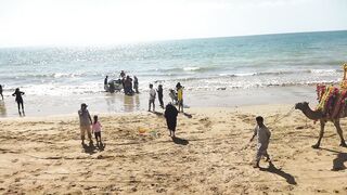 Camel on Karachi Beech