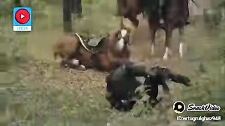 عثمان غازی پر حملہ