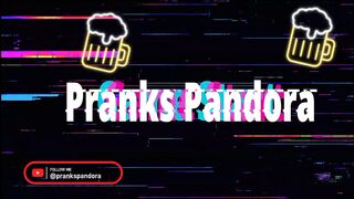 Funny Cats and Dogs  - Part 17 - TRY NOT TO LAUGH CHALLENGE! Pranks Pandora