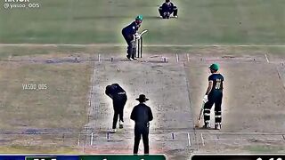 Cricket Videos