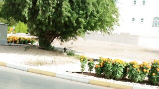Alain city Al hayer UAE