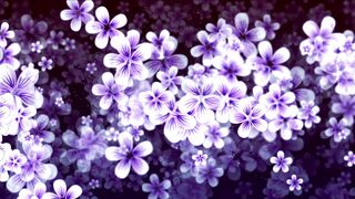 Nature Beauty 006