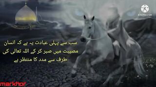 Hazrat Ali Ke Aqwal e Zareen-Urdu Quotes-Islamic Quotes-Quotes in Urdu-Aqwal e Zareen-▶01-markhor