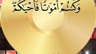 سورة البقرة ٢٨