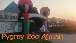 Pygmy Zoo Ajman UAE | Best Visiting Place for Kids in UAE