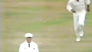 Funny cricket