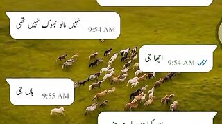 Whatsapp chat