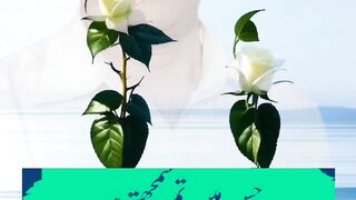 اک شاعر میں پوری زندگی