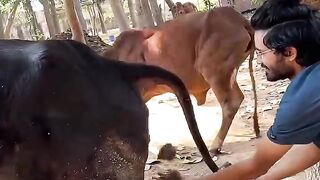 Epic Holi prank fail