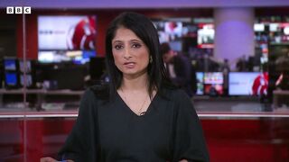 The fight to save the African penguin | BBC News