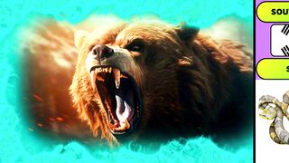 The Most Terrifying Animals for People in Different Countries