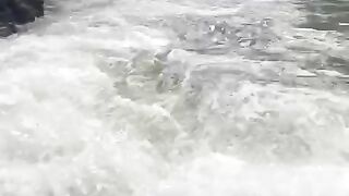 Arum jeram