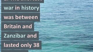 random facts