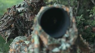 If_you_ask_me_to_share_my_most_adrenaline-pumping_experience,_l_d_tell_you_about_this_incredible_moment_I_had_up_close_with_a_brown_bear_#wild_#bear