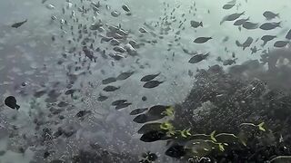 An amazing and very beautiful world
