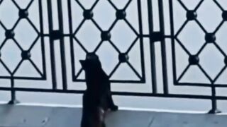 Funny cat with bird
