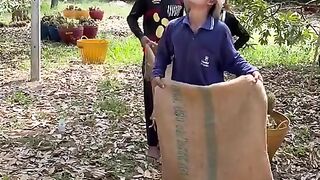Catching durian at high speeds