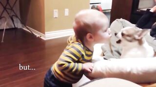 dogs and baby, bonding of dogs with babies, funny, cute, dogs complications