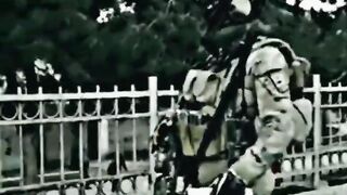 Afghan Taliban Attitude Status.