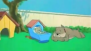 توم وجيري