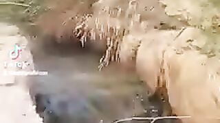 واحة مدينة تدمر